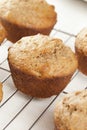 Fresh Homemade Bran Muffins Royalty Free Stock Photo