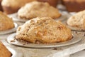 Fresh Homemade Bran Muffins Royalty Free Stock Photo