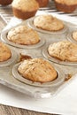 Fresh Homemade Bran Muffins Royalty Free Stock Photo