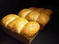 Fresh Homemade Bread Royalty Free Stock Photo