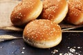 Fresh homemade burger buns with sesame on dark background Royalty Free Stock Photo
