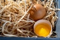 Fresh homemade chicken eggs, brown eggs in the nest, broken egg, egg yolk Royalty Free Stock Photo
