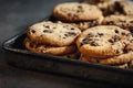 Fresh homemade chocolate cookies baking tray close up Royalty Free Stock Photo