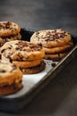 Fresh homemade chocolate cookies baking tray close up Royalty Free Stock Photo