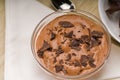 Fresh homemade chocolate mousse Royalty Free Stock Photo
