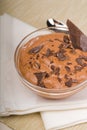Fresh homemade chocolate mousse Royalty Free Stock Photo