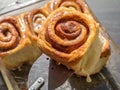 Fresh homemade cinnamon sticky buns