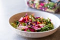 Fresh Homemade Colorful Salad with Purple Cabbage, Beet, Carrot and Rocket. Royalty Free Stock Photo