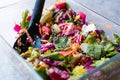 Fresh Homemade Colorful Salad with Purple Cabbage, Beet, Carrot and Rocket. Royalty Free Stock Photo