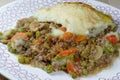 Fresh Homemade Cottage Pie Royalty Free Stock Photo