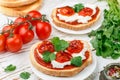 Fresh homemade crispy bruschetta with baked tomatoes cherry, cream cheese ricotta, red sauce and parsley cilantro Royalty Free Stock Photo