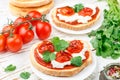 Fresh homemade crispy bruschetta with baked tomatoes cherry, cream cheese ricotta, red sauce and parsley cilantro Royalty Free Stock Photo