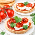 Fresh homemade crispy bruschetta with baked tomatoes cherry, cream cheese ricotta, red sauce and parsley cilantro Square pictu Royalty Free Stock Photo