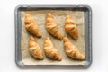 Fresh homemade croissants on baking tray with baking paper. French bakery concept Royalty Free Stock Photo