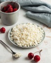 Fresh homemade crumbly cottage cheese in a bowl, farm-fresh produce. Royalty Free Stock Photo