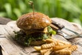 Fresh homemade delicious grilled burger with potato fries on old wooden table background board in a rustic, Side view, Close up,