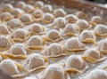 Fresh homemade dumplings on a tray, ready for cooking. A close-up view of the uncooked dough with flour and folds. Royalty Free Stock Photo