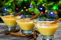 Fresh homemade eggnog with cinnamon Royalty Free Stock Photo