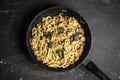 Fresh homemade fettuccini pasta with meat, cheese and basil Royalty Free Stock Photo