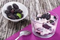 Fresh homemade greek yogurt with colored stains and berries Royalty Free Stock Photo