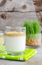 Fresh homemade greek yogurt (kefir) with dried wheat bran. Healthy breakfast or afternoon snack. Royalty Free Stock Photo