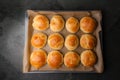 Fresh homemade Hamburger Buns/Brioche.