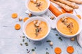 Fresh homemade healthy soup Royalty Free Stock Photo