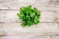 Fresh homemade herbs from the parsley garden. Selective focus