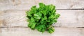 Fresh homemade herbs from the parsley garden. Selective focus.