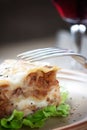 Fresh homemade lasagna Royalty Free Stock Photo