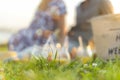 Fresh Homemade Lemonade With lime and lemon On The Grass in sunny park. Blurred green grass and people background Royalty Free Stock Photo