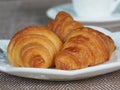 Fresh Homemade Mini Croissant