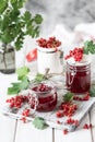 Fresh homemade red currant jam or sauce in a jar, selective focus Royalty Free Stock Photo