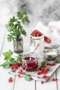 Fresh homemade red currant jam or sauce in a jar, selective focus. Place for text. Copy space Royalty Free Stock Photo