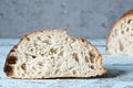 Fresh homemade sourdough bread with whole grain flour on a gray-blue background. Royalty Free Stock Photo