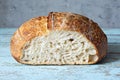 Fresh homemade sourdough bread with whole grain flour on a gray-blue background. Royalty Free Stock Photo