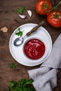 Fresh homemade tomato sauce with garlic Royalty Free Stock Photo