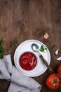 Fresh homemade tomato sauce with garlic Royalty Free Stock Photo