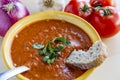 Fresh Homemade Tomato Soup Royalty Free Stock Photo