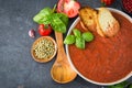 Fresh homemade tomato soup in the bowl on stone background