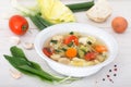 Fresh homemade vegetable soup with ingredients