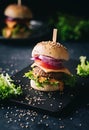 Fresh, homemade Veggie Burger Royalty Free Stock Photo