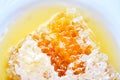 Fresh honey - Close up of yellow sweet honeycomb slice on white plate natural healthy food Royalty Free Stock Photo