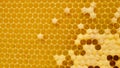 Fresh Honey In Comb. Beewax comb structure abstract pattern. Yellow Honey cells texture background Royalty Free Stock Photo