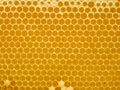 Fresh Honey In Comb. Beewax comb structure abstract pattern. Yellow Honey cells texture background Royalty Free Stock Photo