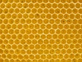 Fresh Honey In Comb. Beewax comb structure abstract pattern. Yellow Honey cells texture background Royalty Free Stock Photo