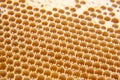 Fresh honey in a comb on the light close-up. vitamin natural food. texture and background Royalty Free Stock Photo