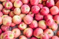 Fresh Honey Crisp apples on display