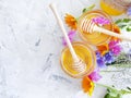Fresh honey flower organic calendula cornflower on gray concrete background Royalty Free Stock Photo