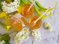 Fresh honey flower refreshment ingredient nutrition concrete background ingredient, blossom Royalty Free Stock Photo